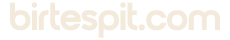 filament-panels::layout.logo.alt